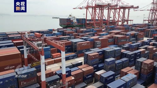 伟大的历史变革丨高水平对外开放引领普通货物仓储服务转型升级