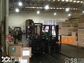 专业仓储，品质无忧 盐田友旗优基仓库为鞋服行业提供一站式仓储与质检服务
